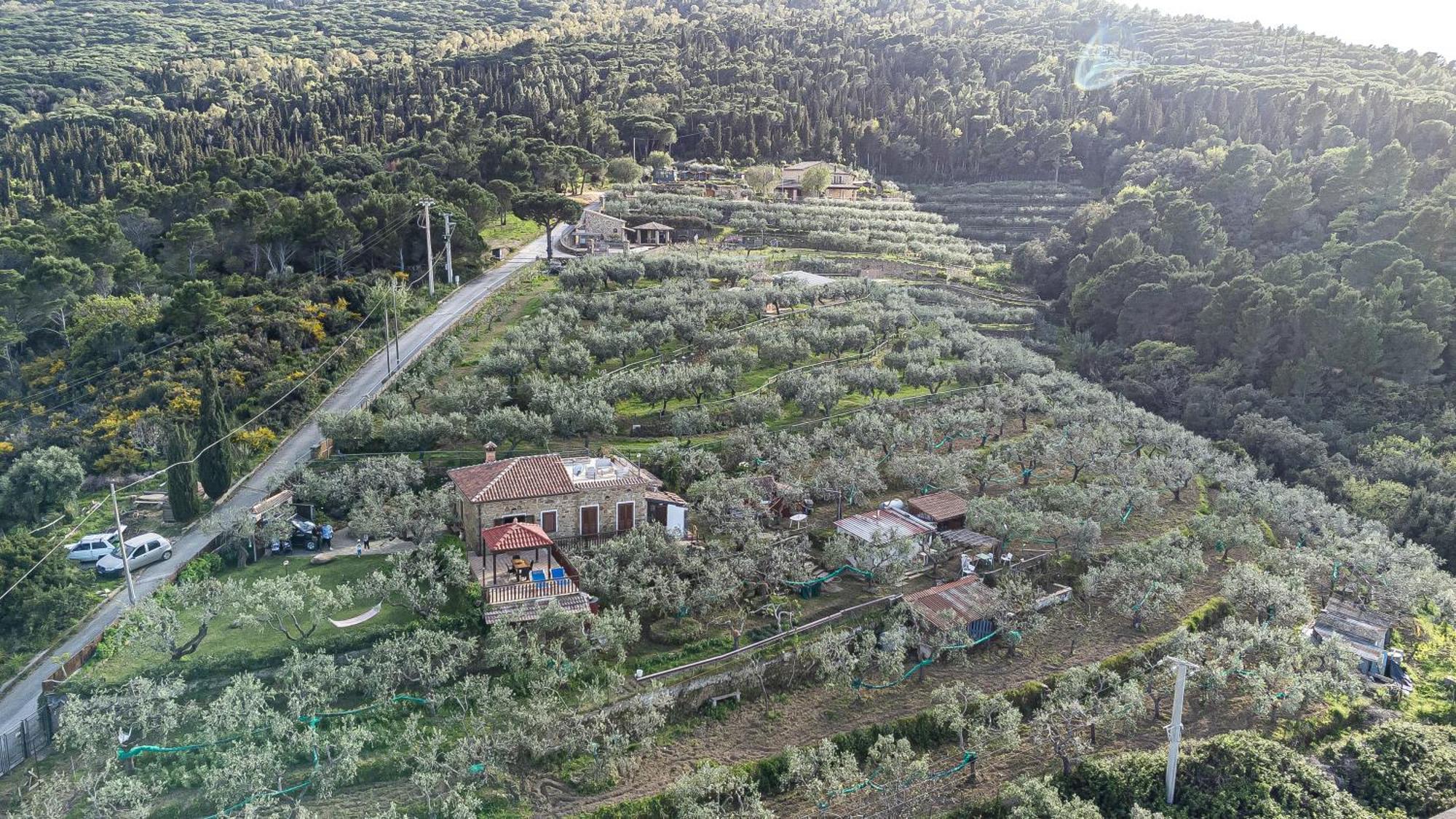 Bellezza In Cilento Panoramic Apts * Castellabate