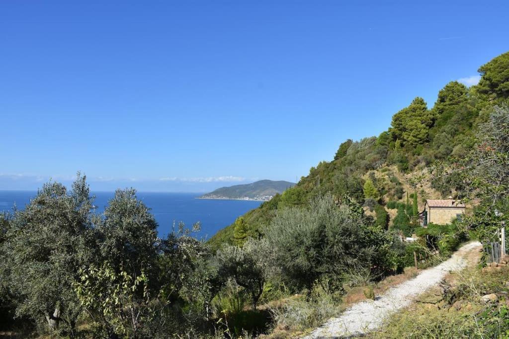 Bellezza In Cilento Panoramic Apts