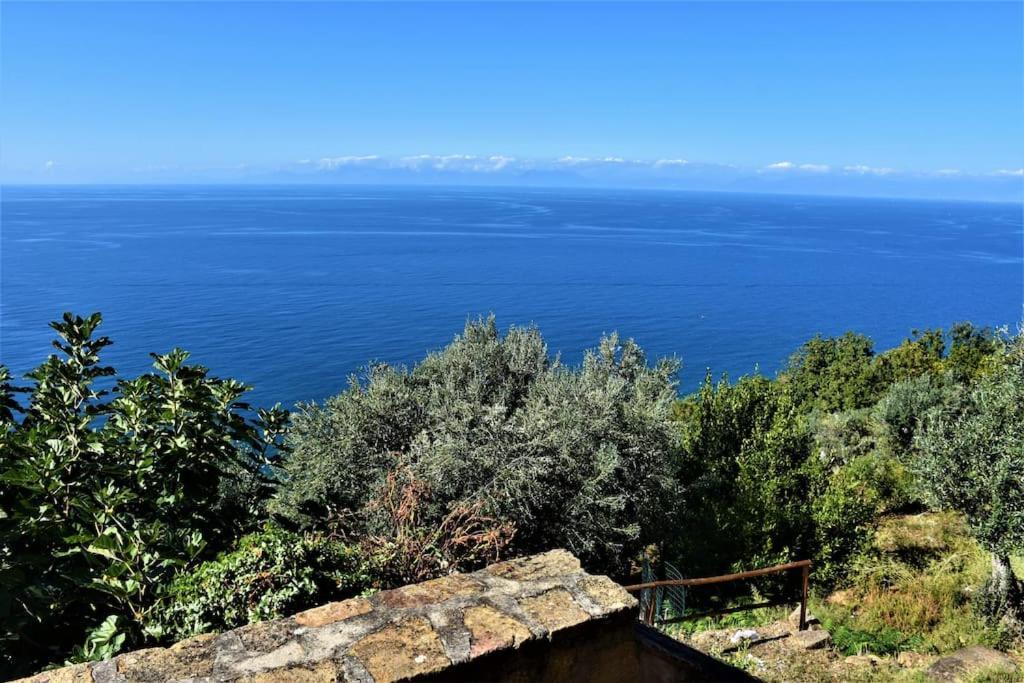 Apartment Bellezza In Cilento Panoramic Apts