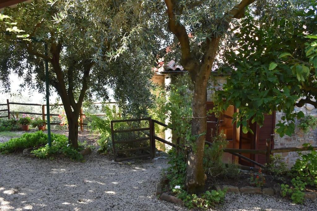Bellezza In Cilento Panoramic Apts Apartment Castellabate