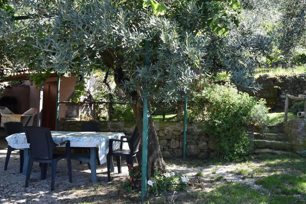 Apartment Bellezza In Cilento Panoramic Apts *