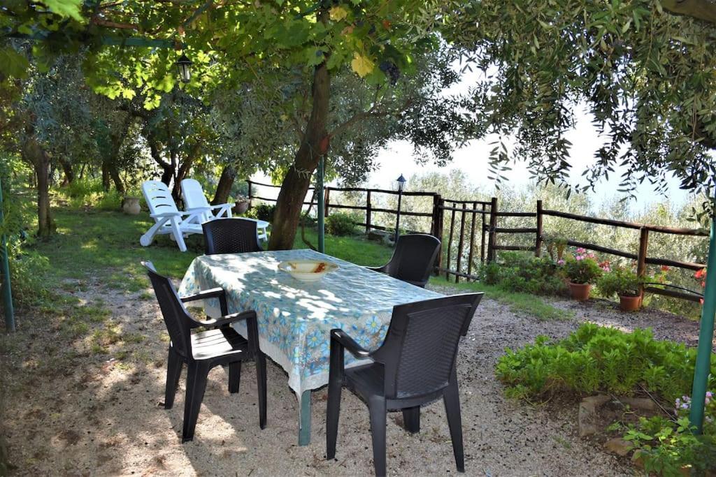 Bellezza In Cilento Panoramic Apts Castellabate