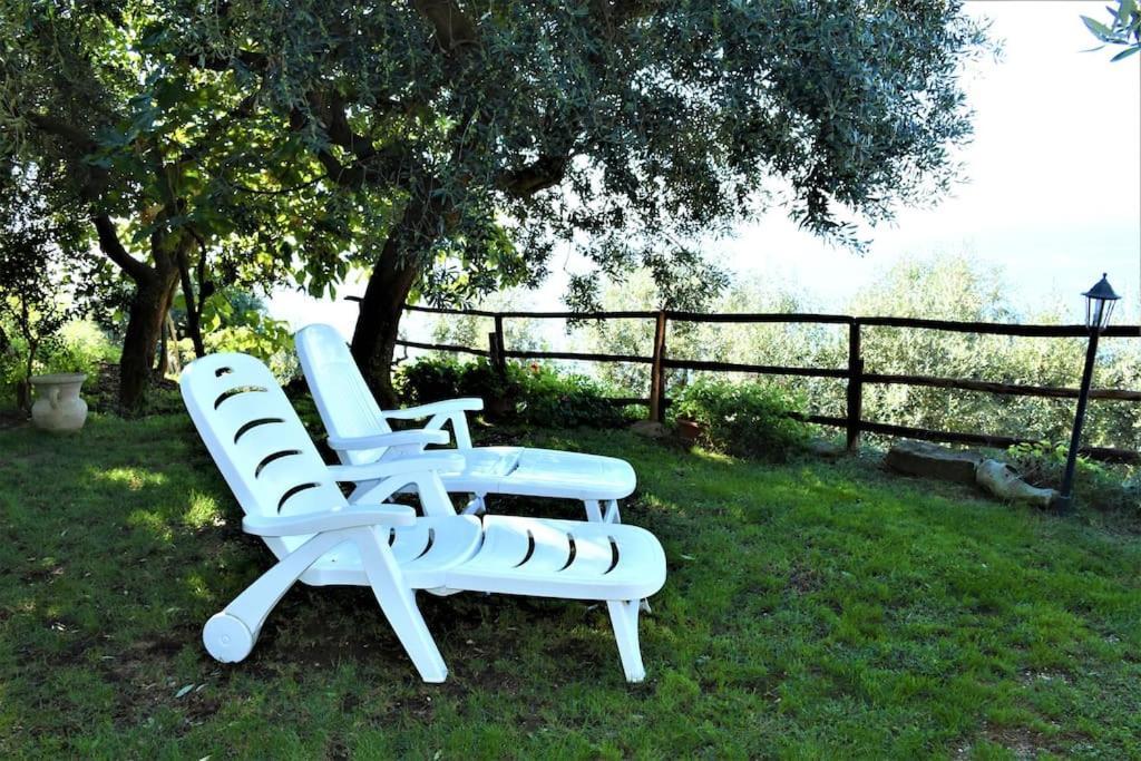 Bellezza In Cilento Panoramic Apts Apartment