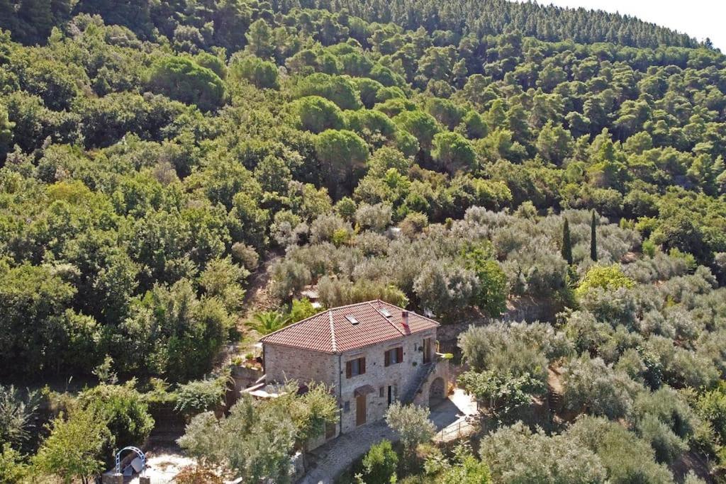 Apartment Bellezza In Cilento Panoramic Apts *