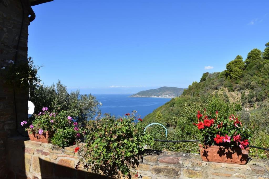 Bellezza In Cilento Panoramic Apts Apartment Castellabate