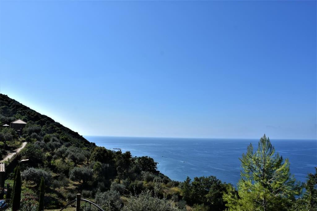 Bellezza In Cilento Panoramic Apts Castellabate
