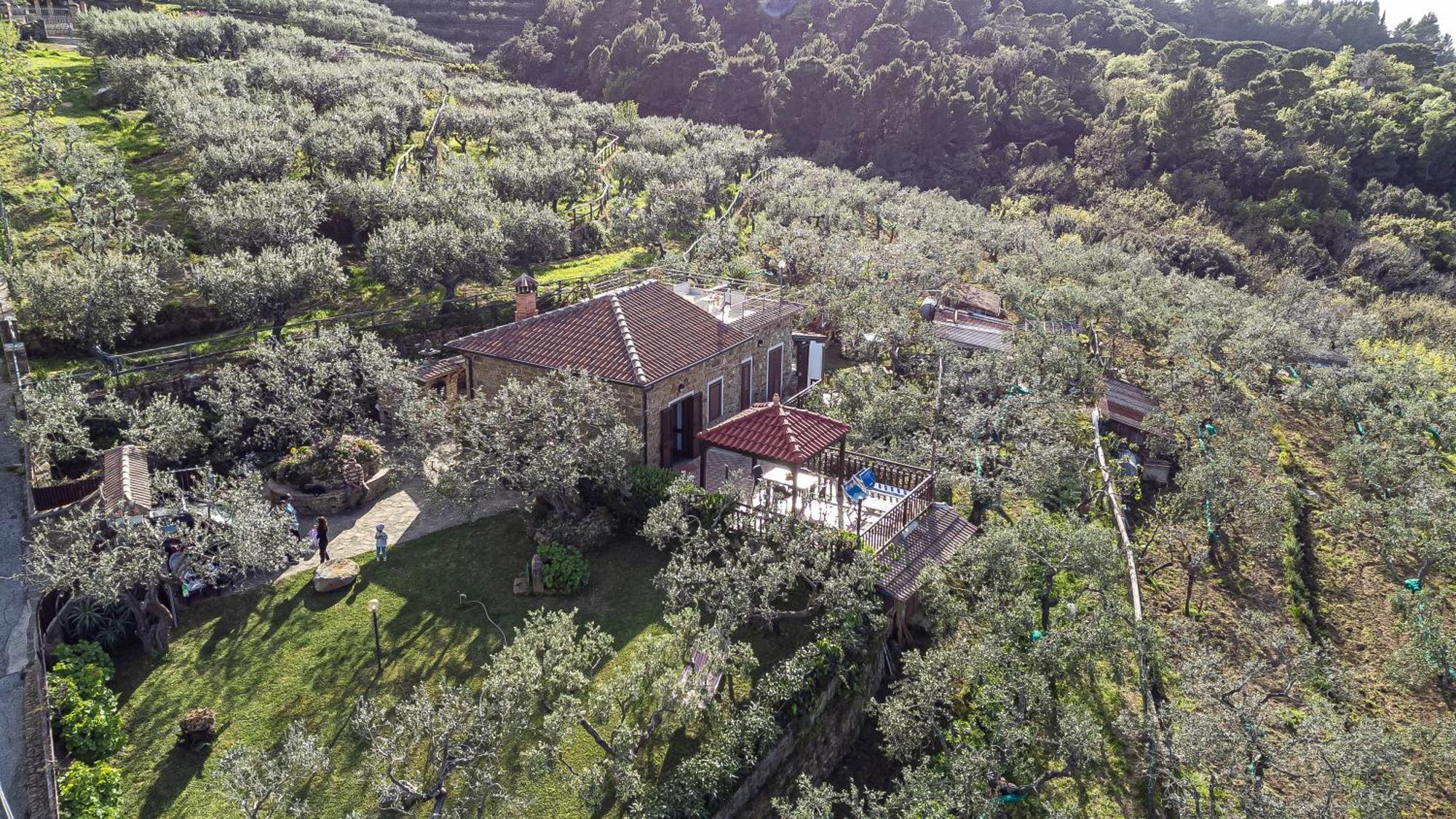 Bellezza In Cilento Panoramic Apts Castellabate